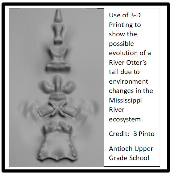 Image is of a 3-D file showing various shapes that show an river otter's tail skeleton.