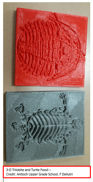 Two  student 3-D  designed and printed images are seen- a  trilobite in a red filament and r is a turtle fossil in gray.