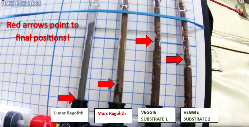 Image showing four capillary tubes at the end of the experiment, showing the water's final position