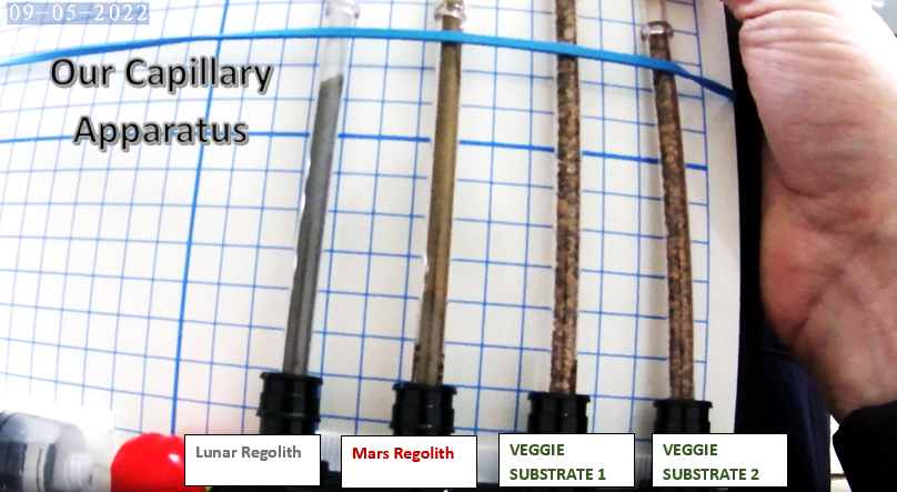 Image showing four capillary tube apparatus at start of experiment; Lunar, Mars, and VEGGIE substrate simulants