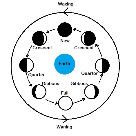 Phases of the Moon