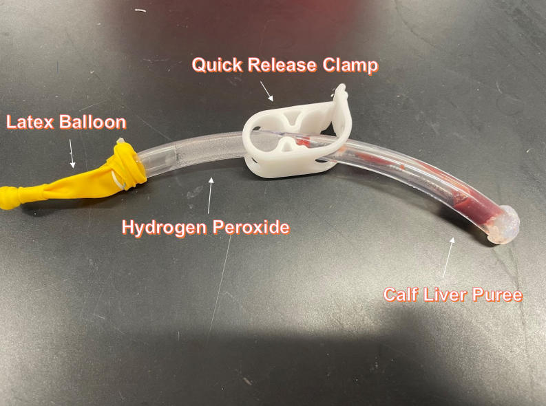 Diagram of constructed apparatus, labelling distinct parts such as "quick release clamp" and "calf liver puree"