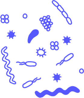 blue cartoon drawings of different bacterial shapes