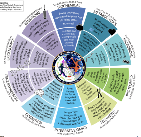 Summary graphic depicting the 10 branches of the Twin Study