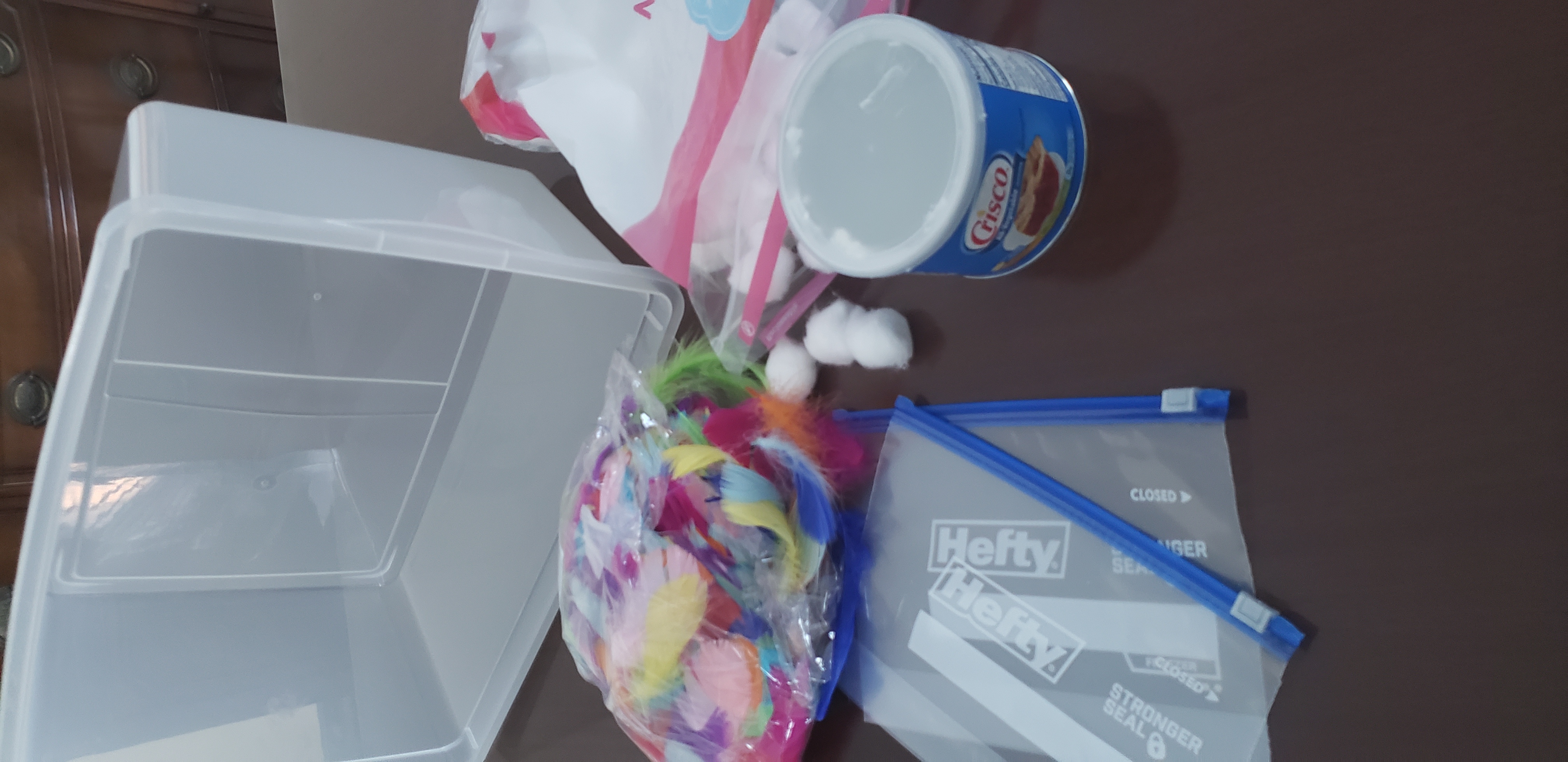 items needed for this experiment: Crisco, feathers, cotton balls, Ziploc quart bags, and large bin for ice water.