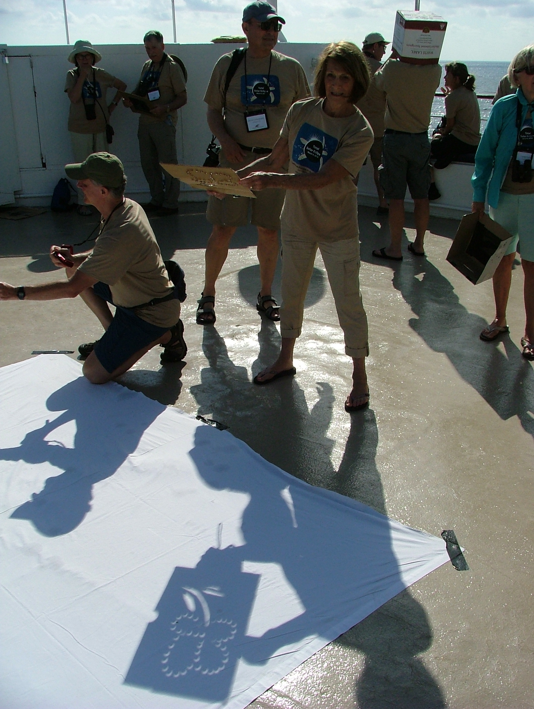 A flower projected on the sheet.