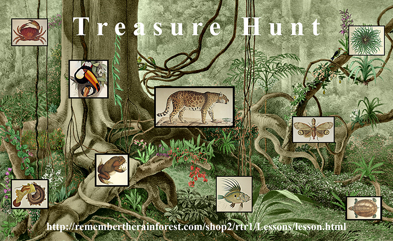 Adjunto TreasureHunt-small.jpg