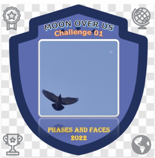 Representative Image for badge to be received after completing Challenge 01 of the Project.