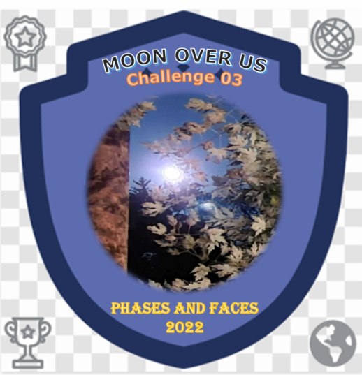 Representative Image for badge to be received after completing Challenge 03 of the Project.

