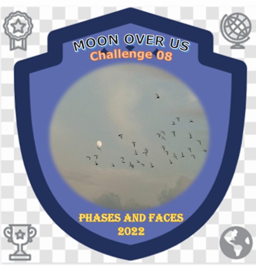 Representative Image for badge to be received after completing Challenge 08 of the Project.